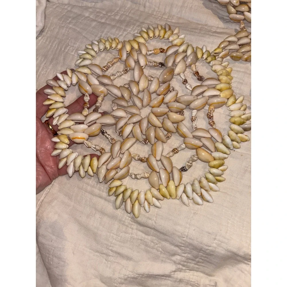 Clearwater handcrafted cowrie